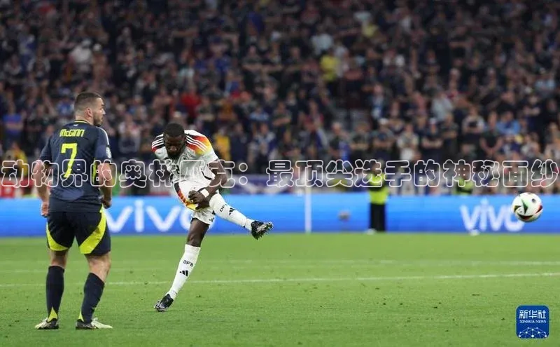 动物界的奥林匹克：最顶尖选手的神秘面纱