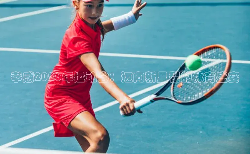孝感2026年运动会：迈向新里程的体育盛宴